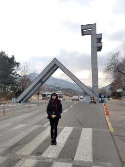 ソウル大学正門のオブジェ:奥に見える山のふもとまですべて大学の敷地です